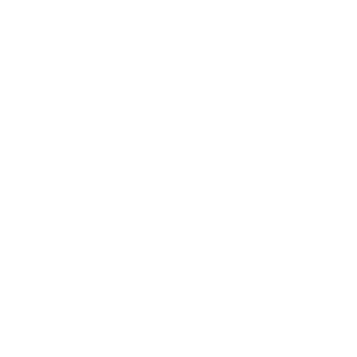 Vector